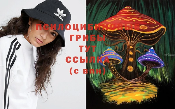 ECSTASY Пестово