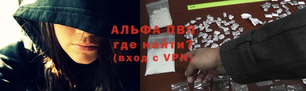 эйфоретик Пересвет