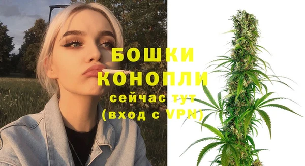 эйфоретик Пересвет