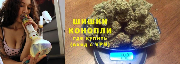 эйфоретик Пересвет